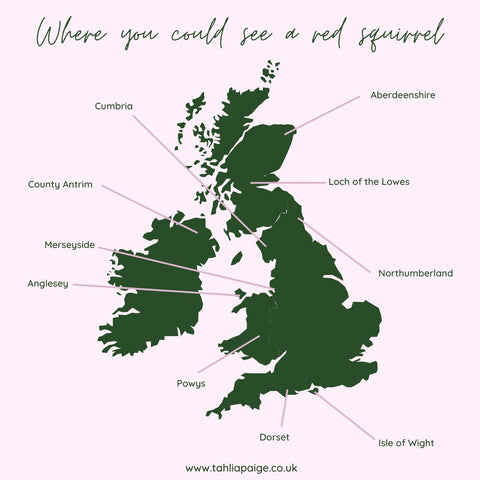 red squirrel map of the uk