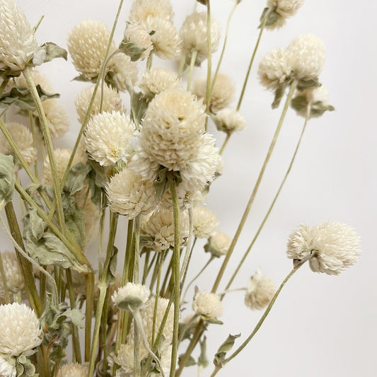 Dried Greenery Thistles Bouquet