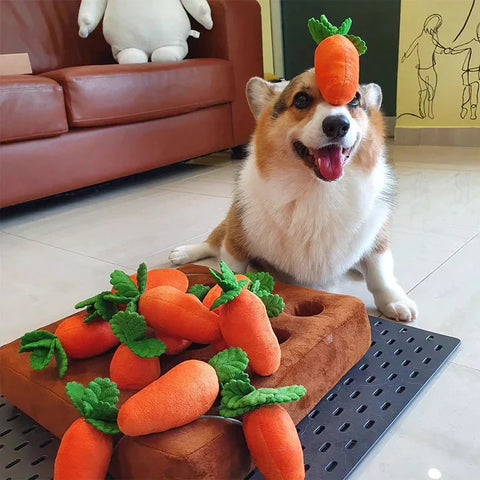happy dog playing with carrot garden dog toy