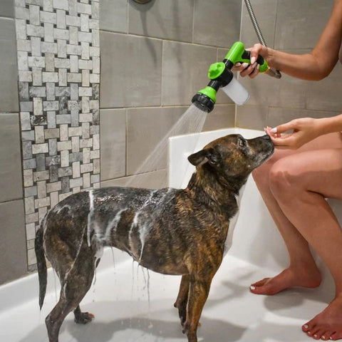 bathing the dog inside using doggo jet