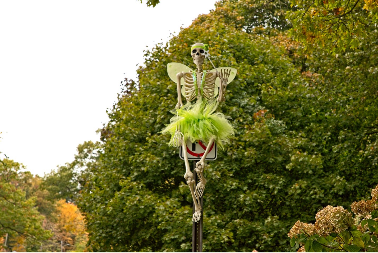 Halloween Party Idea: Skeleton