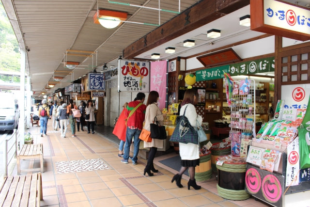 Calle comercial Hakone Ekimae