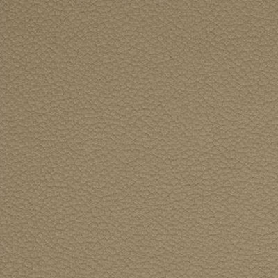 corrected grain leather