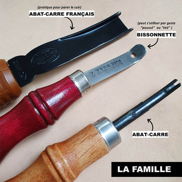 famille des abat-carre