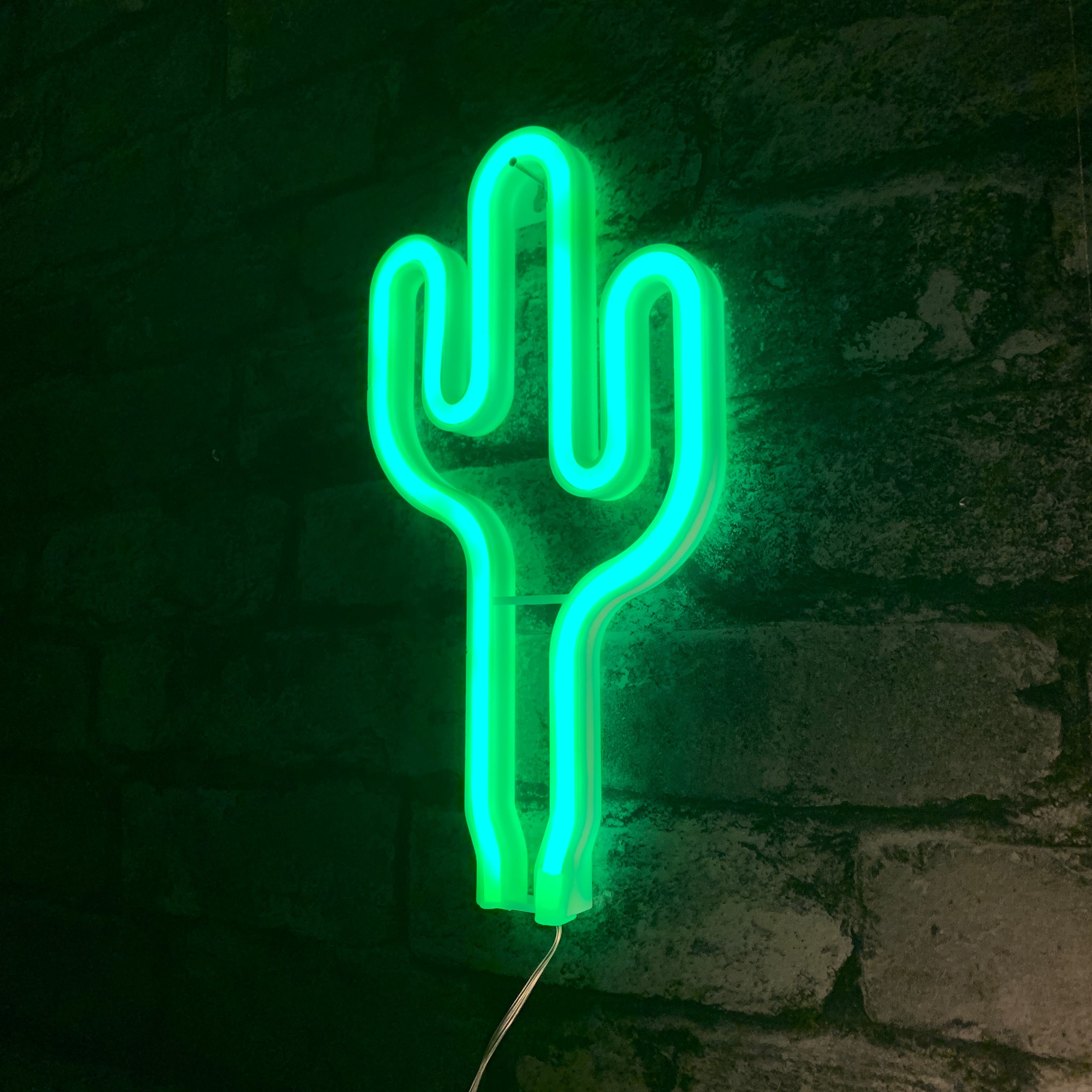 cactus wall light