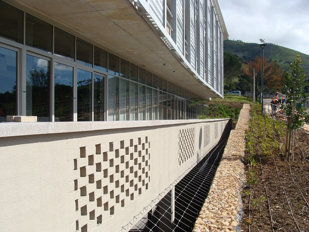 Cable trellis at Hasso Plattner D-school Afrika at UCT