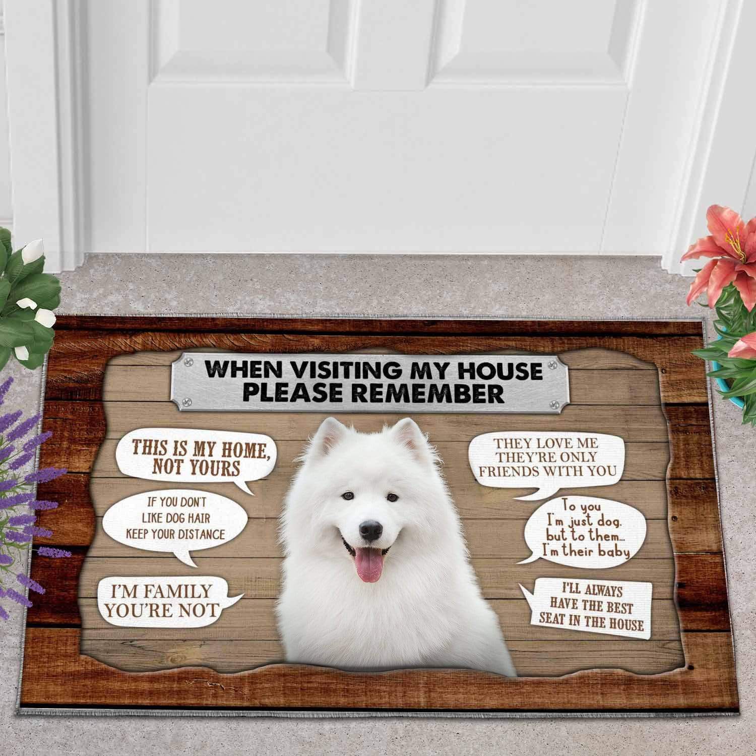 can you have a samoyed in an apartment