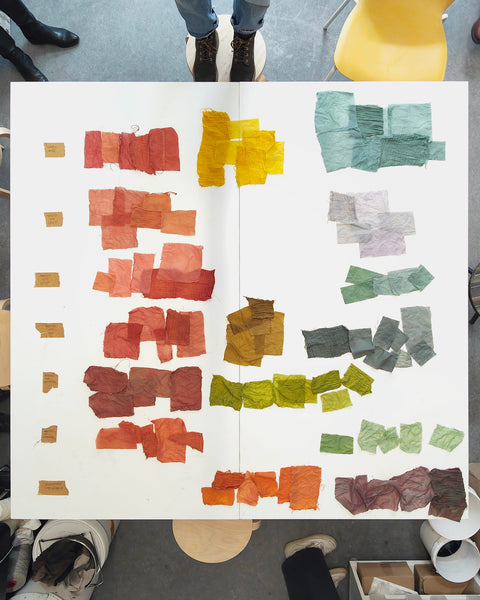 Plant dyed samples made with 3 dye plants