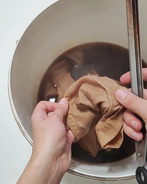 Dyeing clothing with oak leaves