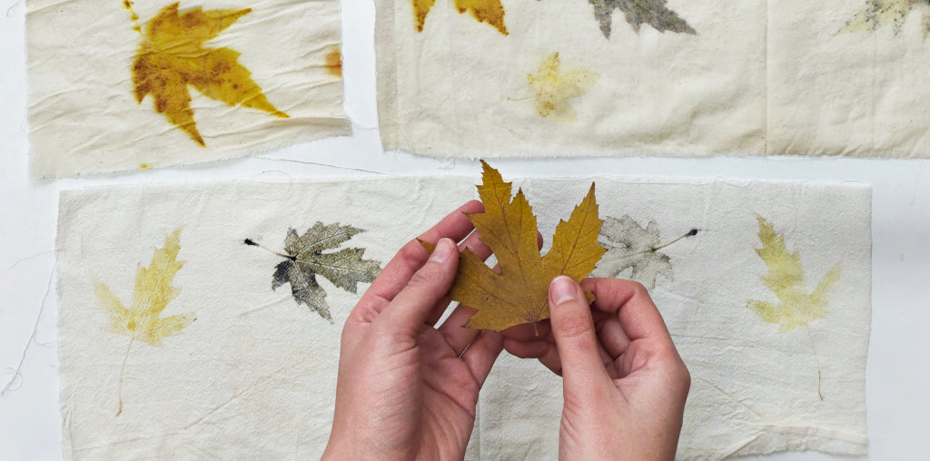 Eco-printing with leaves fabric Kaliko