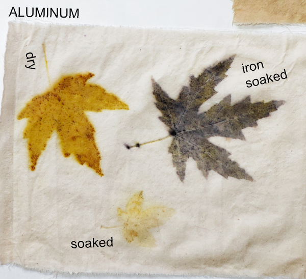 Eco-printed maple leaves on cotton