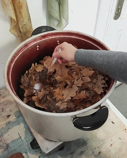 Dyeing with Oak Leaves to Make Natural Brown Fabric Dye - T A L Ú