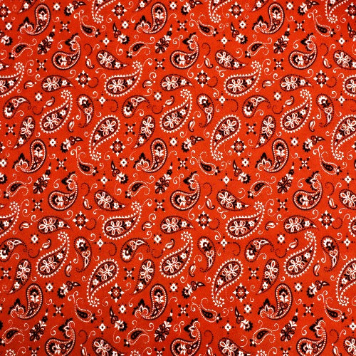 Thermoflex Fashion Patterns 12 Roll, Iron On Heat Transfer Vinyl Roll, Htv  (Red Bandana, 3 Feet)