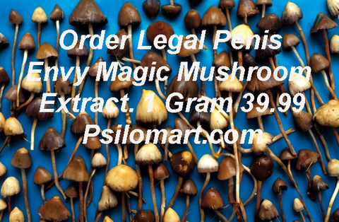 Will Magic Mushrooms Make You Smarter