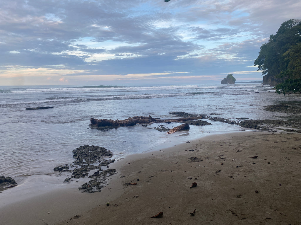 Views of a sunset beach in Costa Rica