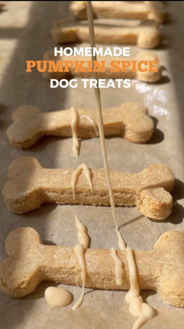 A person drizzles icing onto bone shaped dog treats