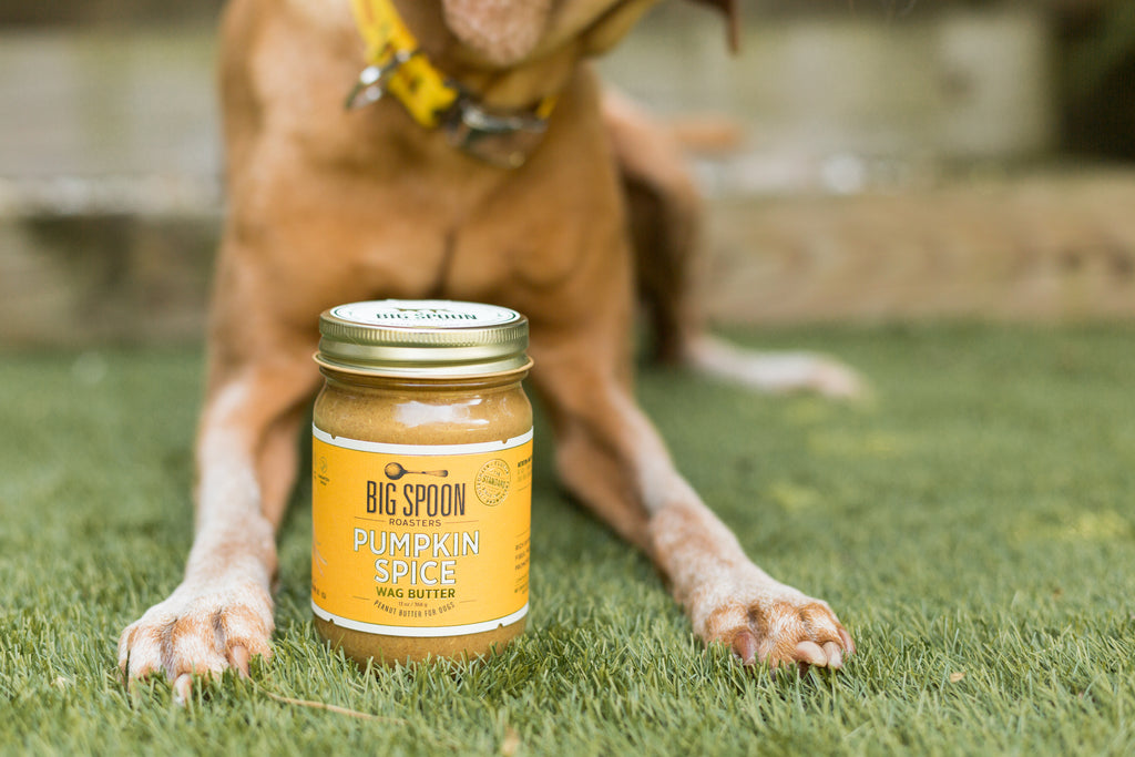 Is Palm Oil In Peanut Butter Safe For Dogs