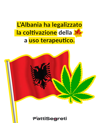 %u2019Albania ha legalizzato la coltivazione della marijuana cannabis