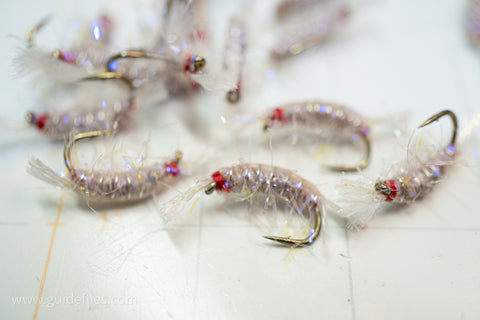 Jelly Scud Fly Pattern