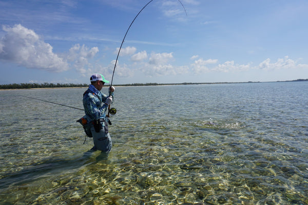 How to Catch Triggerfish on the Fly –