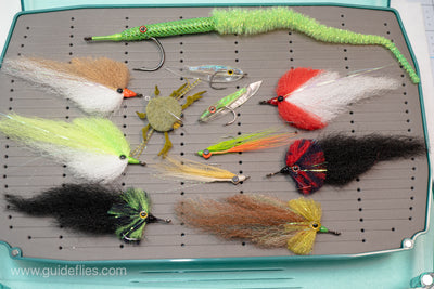 DiscountFlies Tarpon Saltwater Fly Fishing Flies – Fishing Kit w/6