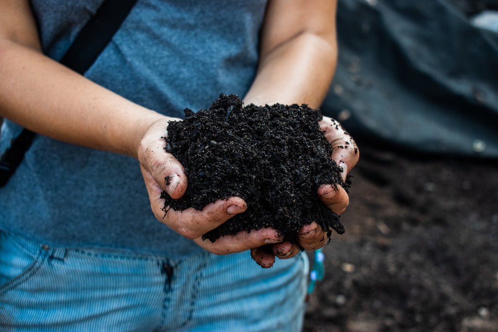 Two hands holding soil