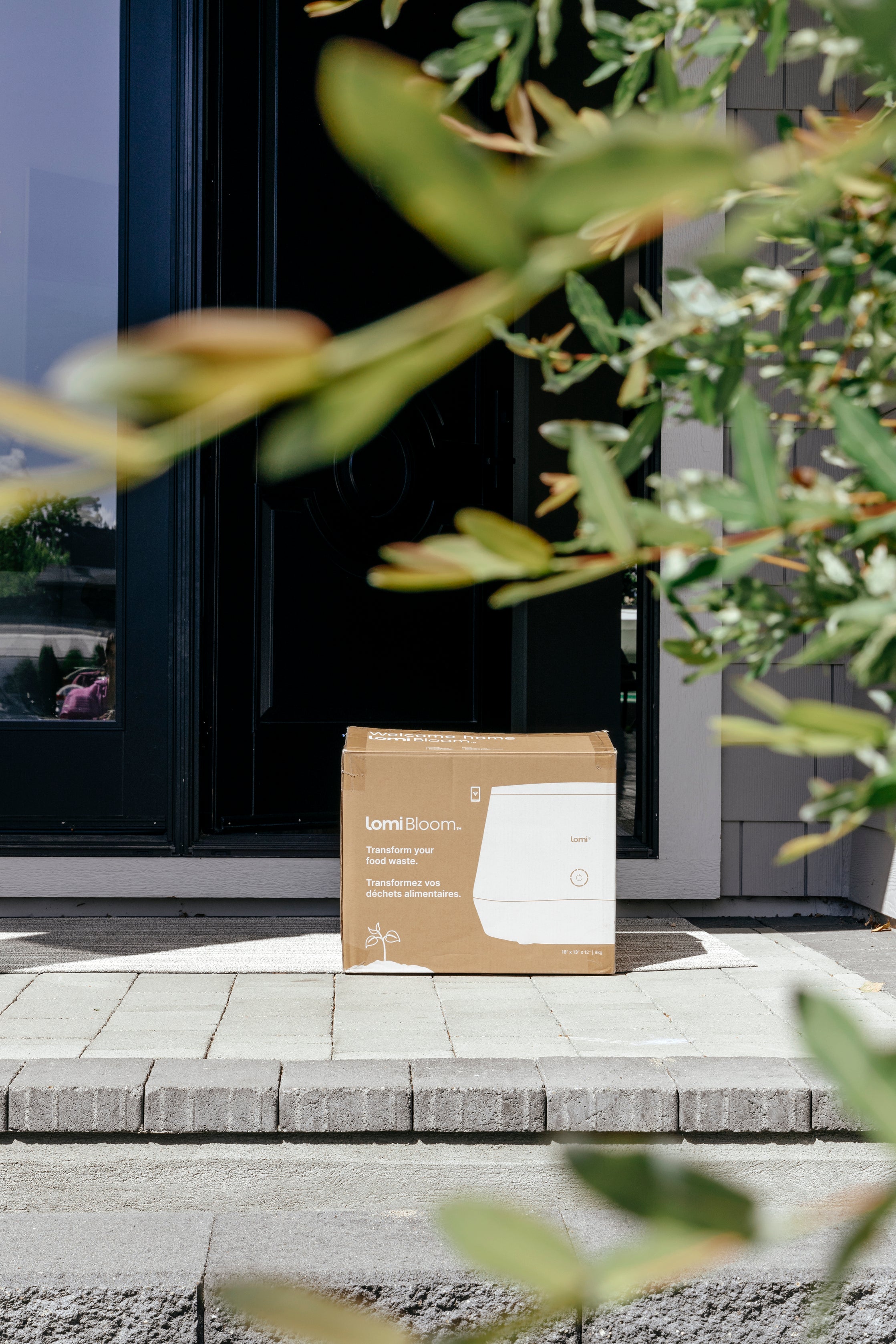 Box labeled 'Lomi Bloom' on doorstep, partially obscured by green foliage in the foreground.