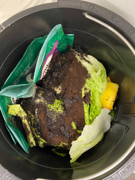 An image of Fair Earth Farms Spring Mix Bag and food waste in lomi