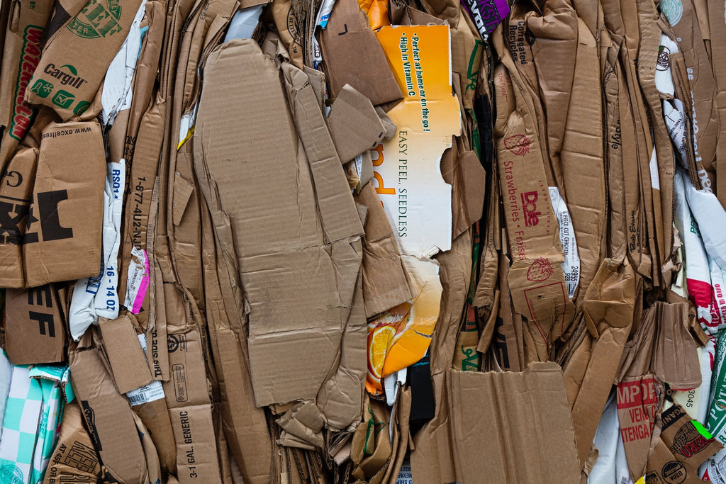 Shredded cardboard boxes