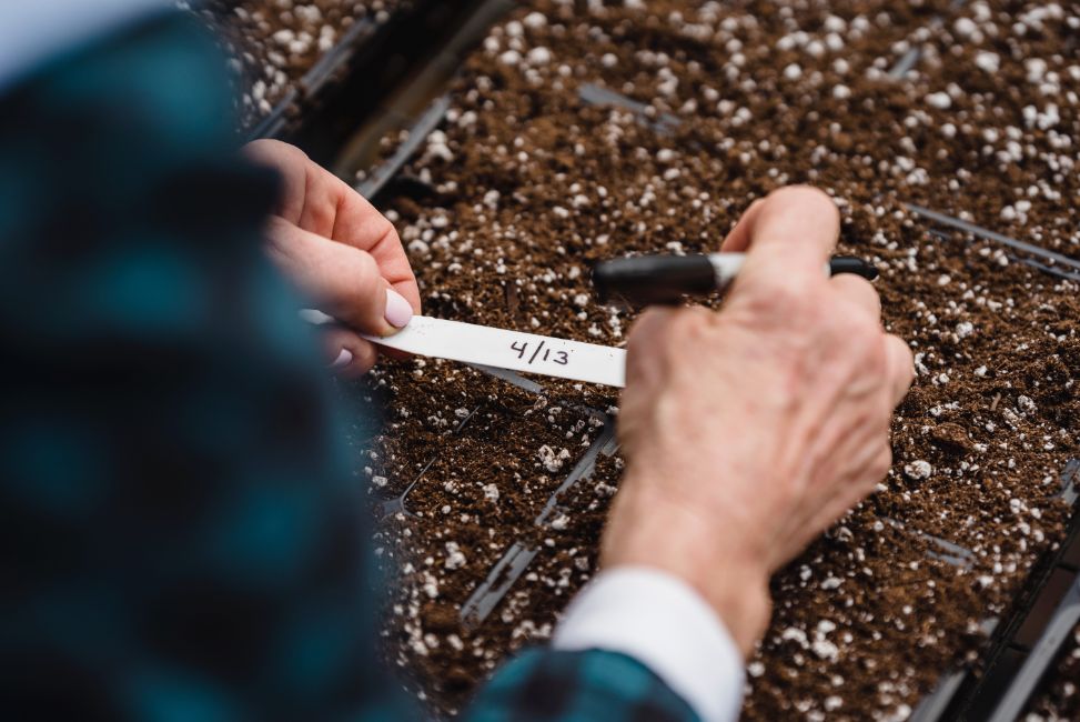 Person writing a date of label of the plants