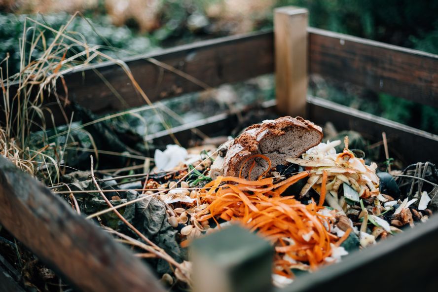 food waste in a compost heap