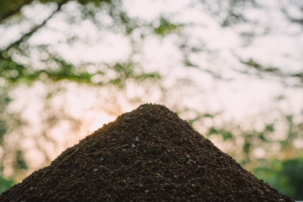 How To Compost At Home: The Ultimate Beginner Guide – Lomi