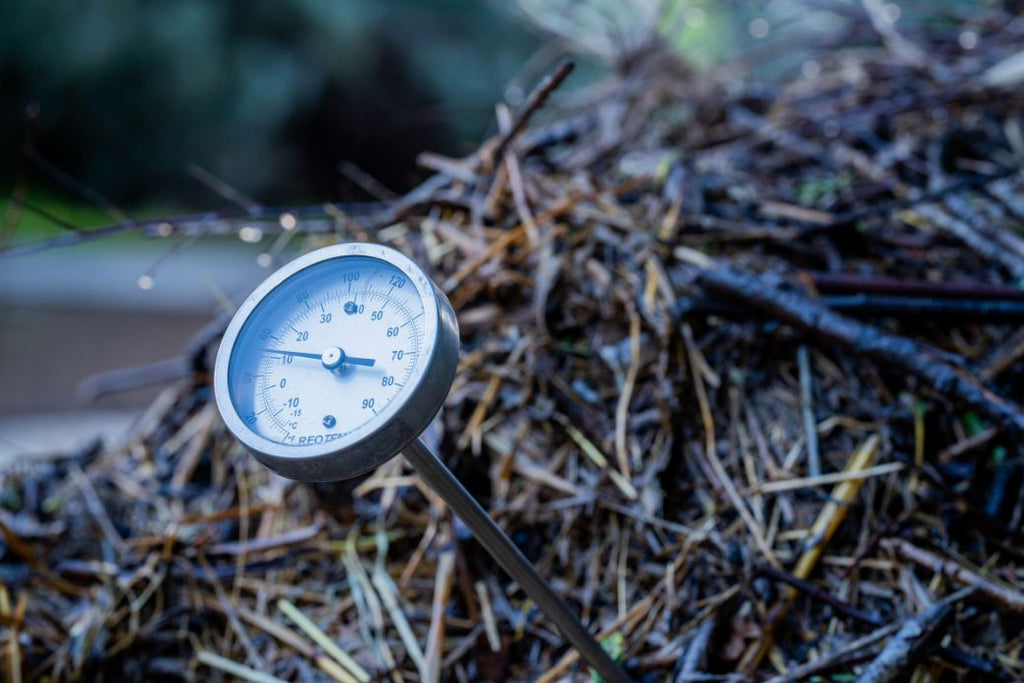 A compost thermometer stuck into a pile of compost