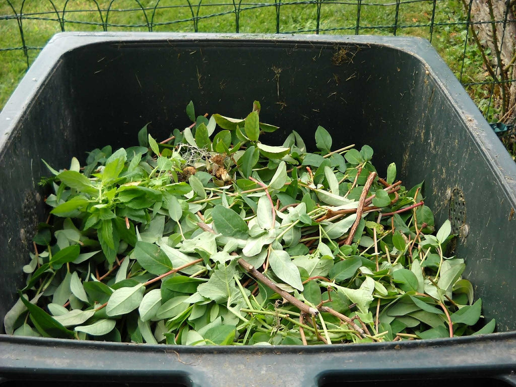 Compost Shredder: How to Use, Types, Benefits & More – Lomi