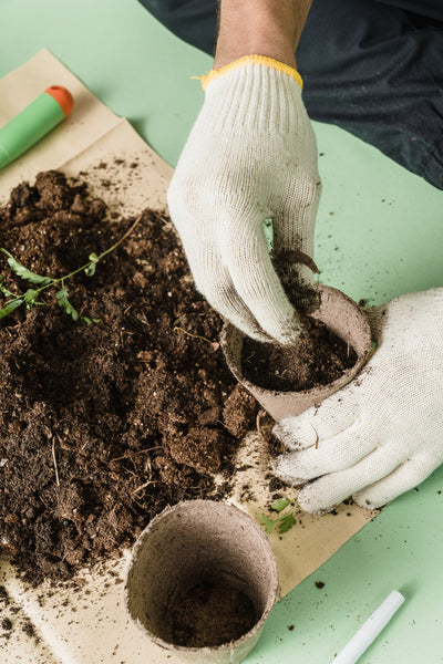 The Green, Brown, and Beautiful Story of Compost