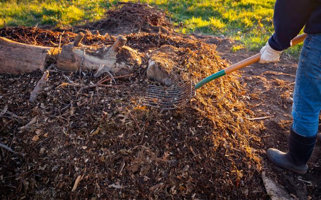 Composting 101: Home Composting is Easy! – RefillMyBottle