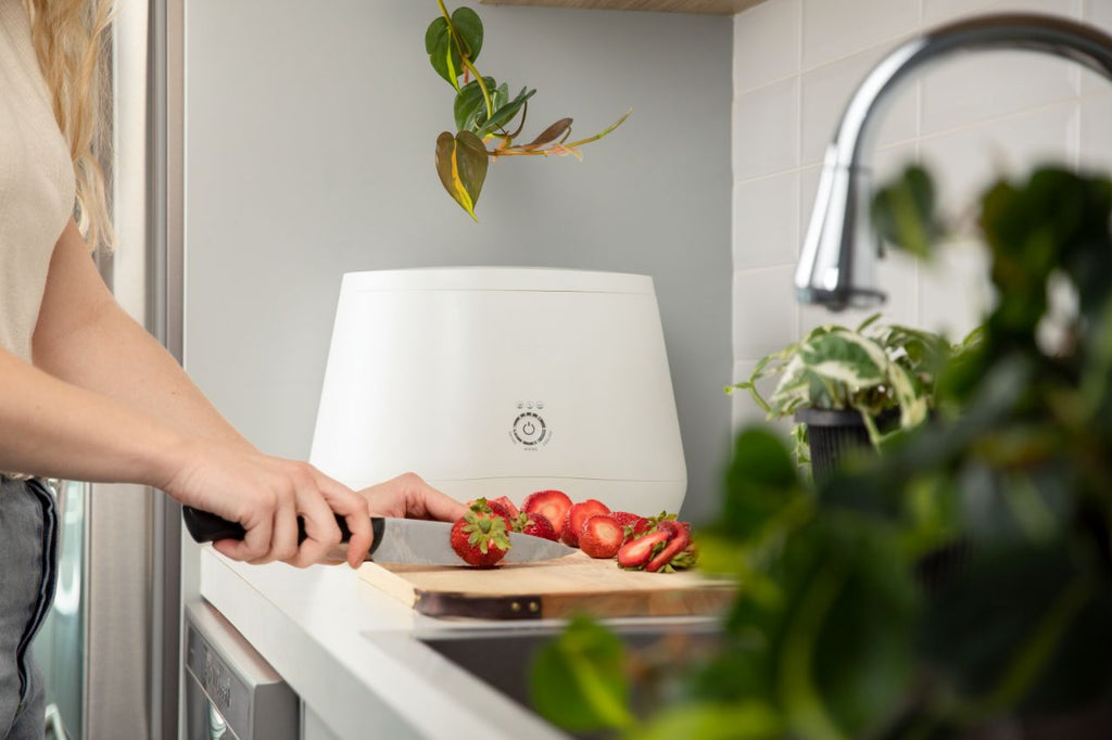 An electric composter on a counter