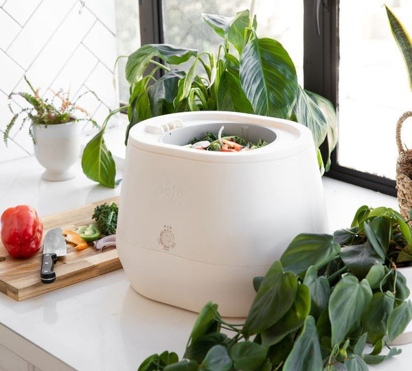 10 Best Indoor Compost Bins - The Kitchen Storage & Composting Solution  That You Should Not Lack