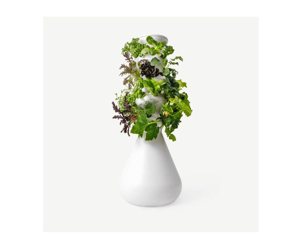 white hydroponic system with plants