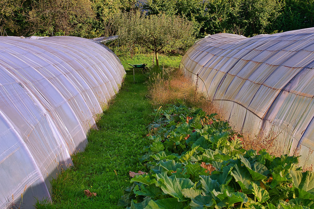 Farm with sunshade nets