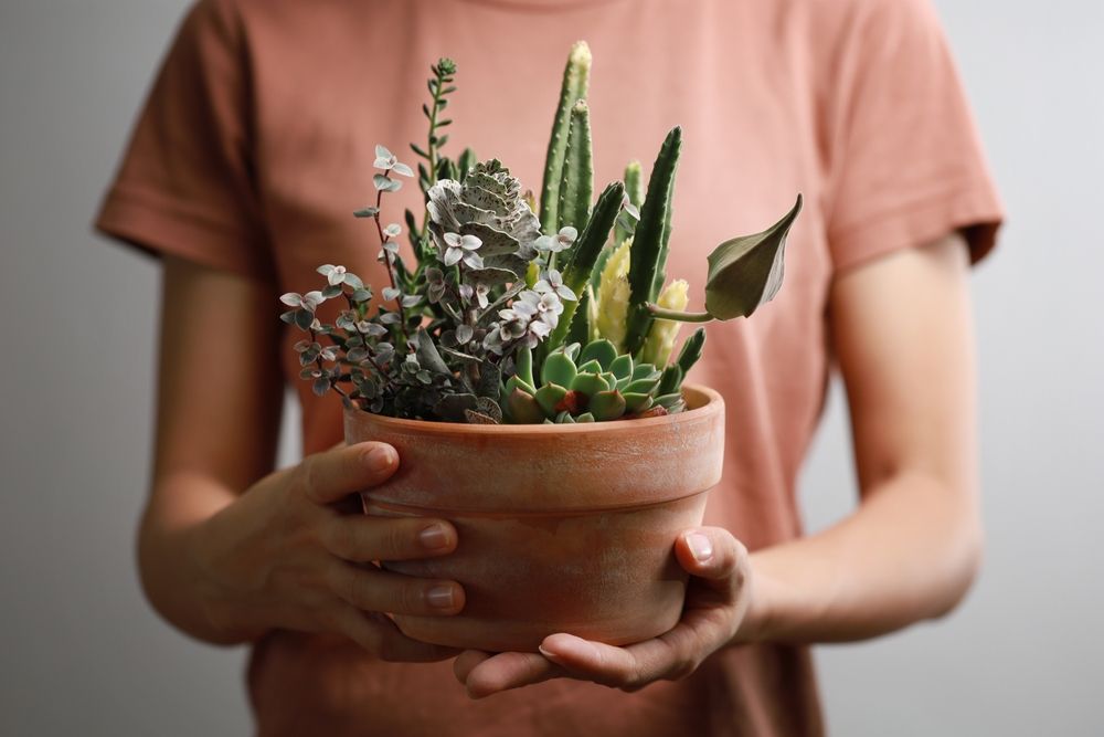 A woman holding a plant pot