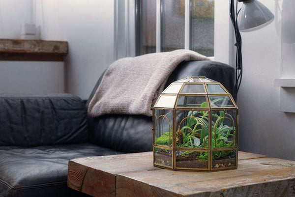 A brass and glass terrarium sitting on a table next to a sofa