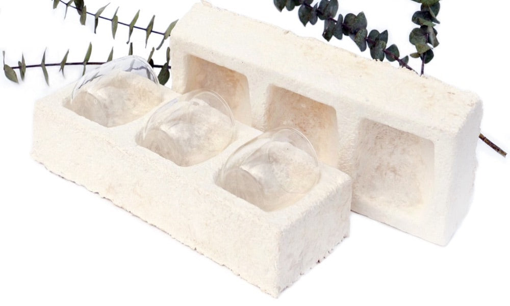 Glasses packaged with mushroom packaging foam