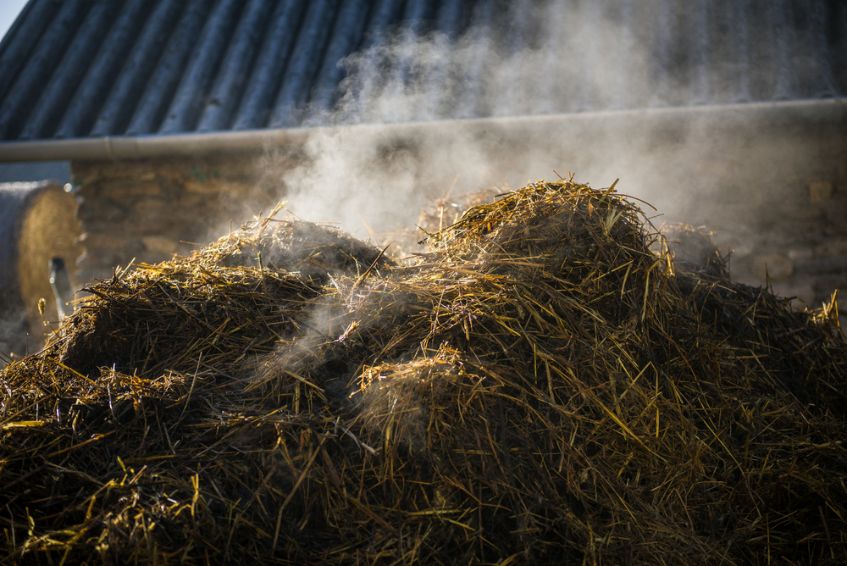 pile of steaming compost