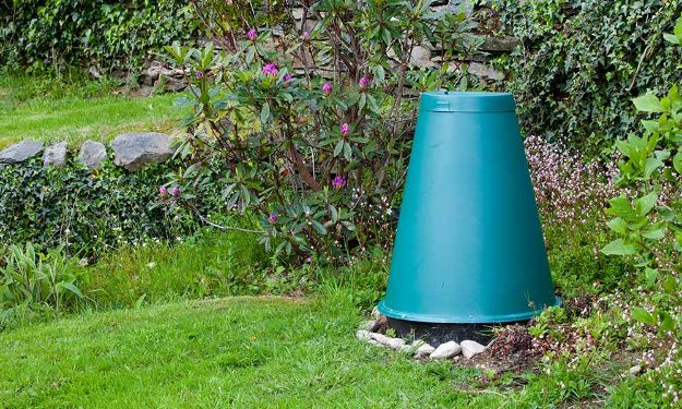 Green Cone set up in the yard