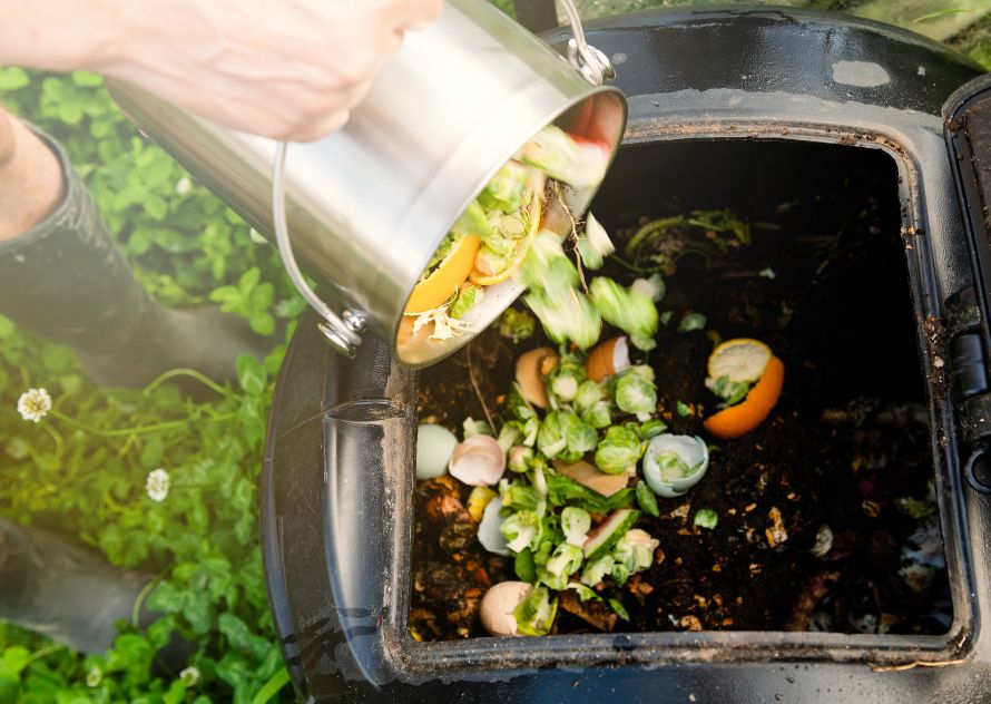 Compost for Plants: 6 Great Options and Top Benefits – Lomi