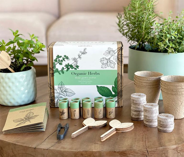 A seed kit with cardboard packing sitting next to indoor plants