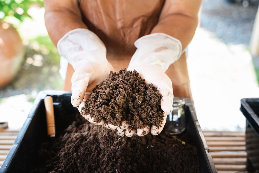 white gloves holding mature compost