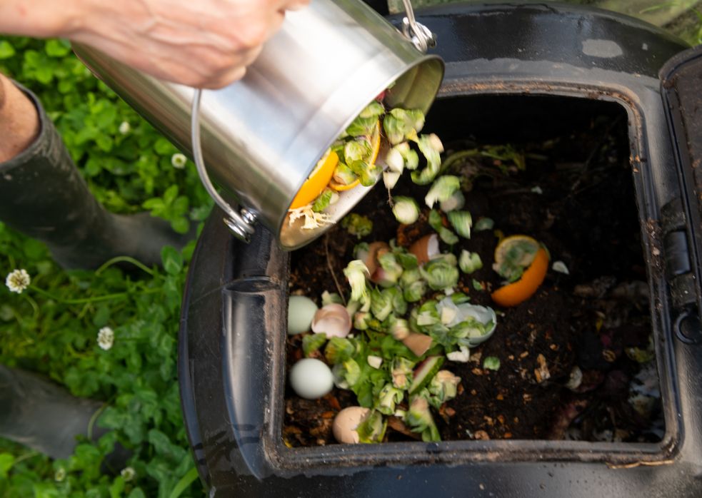 dumping food scraps into compost bin