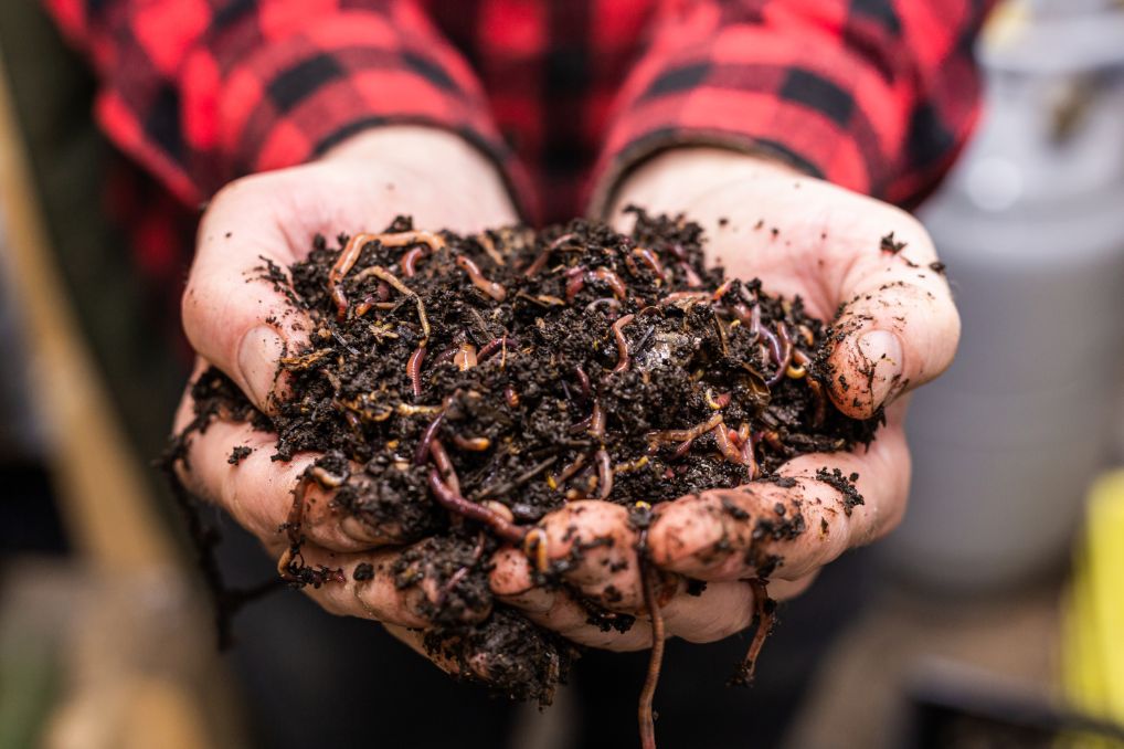 Compost Shredder: How to Use, Types, Benefits & More – Lomi